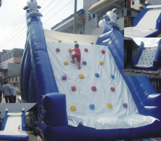 Climbing Inflatable Slides