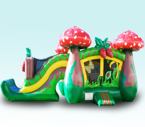 Agaric Inflatable Combo