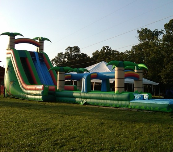 Inflatable Slide Combo Jungle Twist