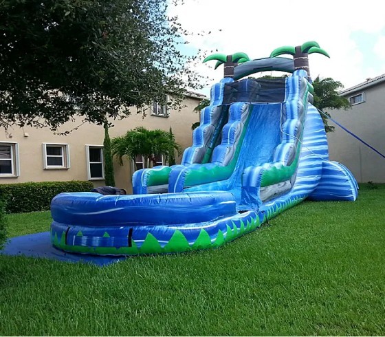 Palm Tree Inflatable Slide