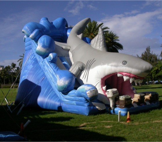 Inflatable Trampoline