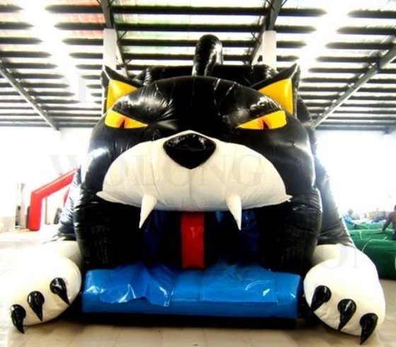 Inflatable Slide