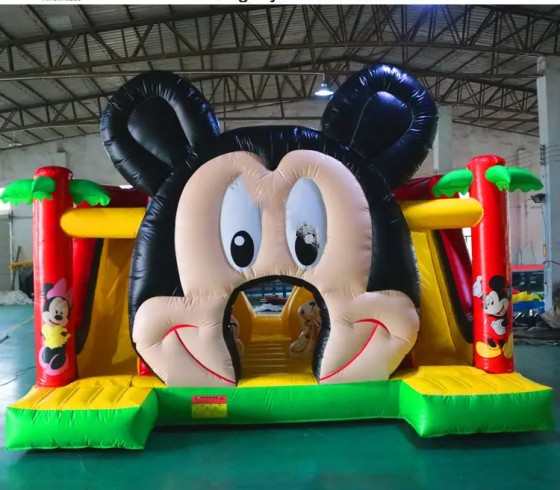 Inflatable Castle
