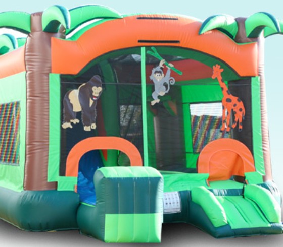 Inflatable Combo
