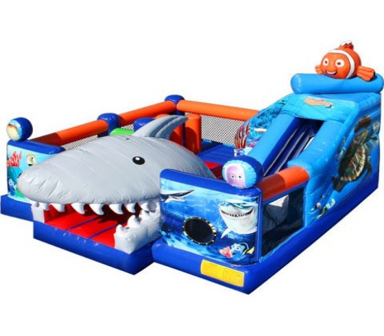 Inflatable Combo