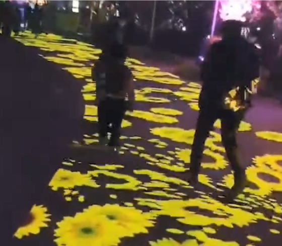 Light Show