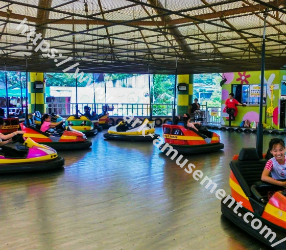 Bumper Cars